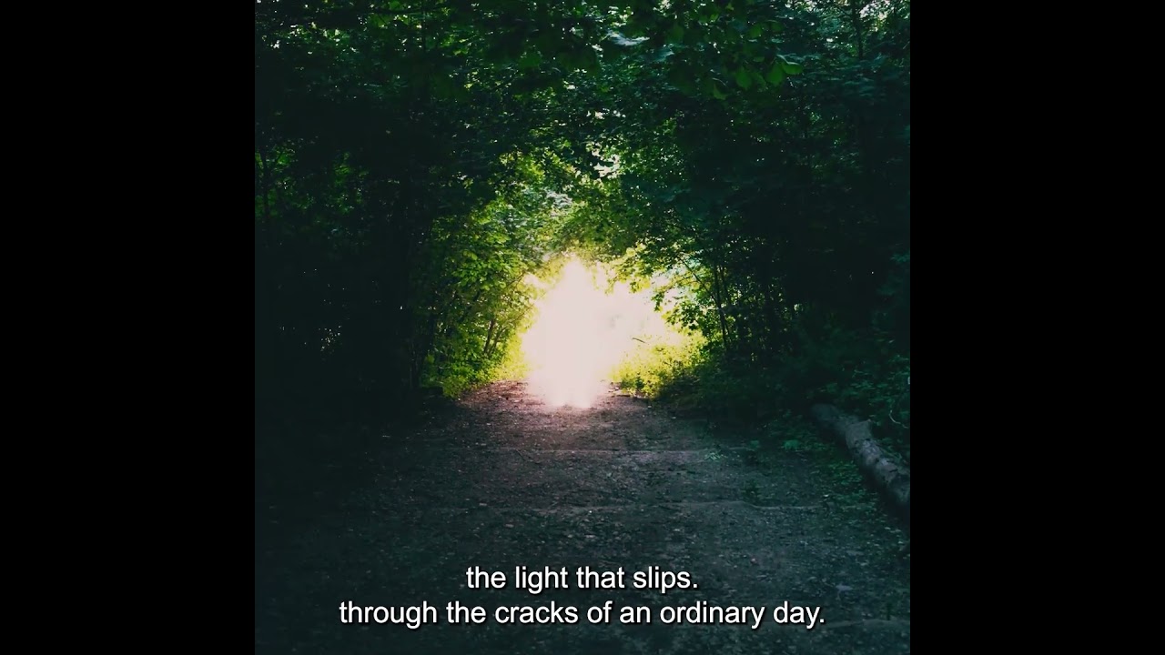 Filmstill van Relight